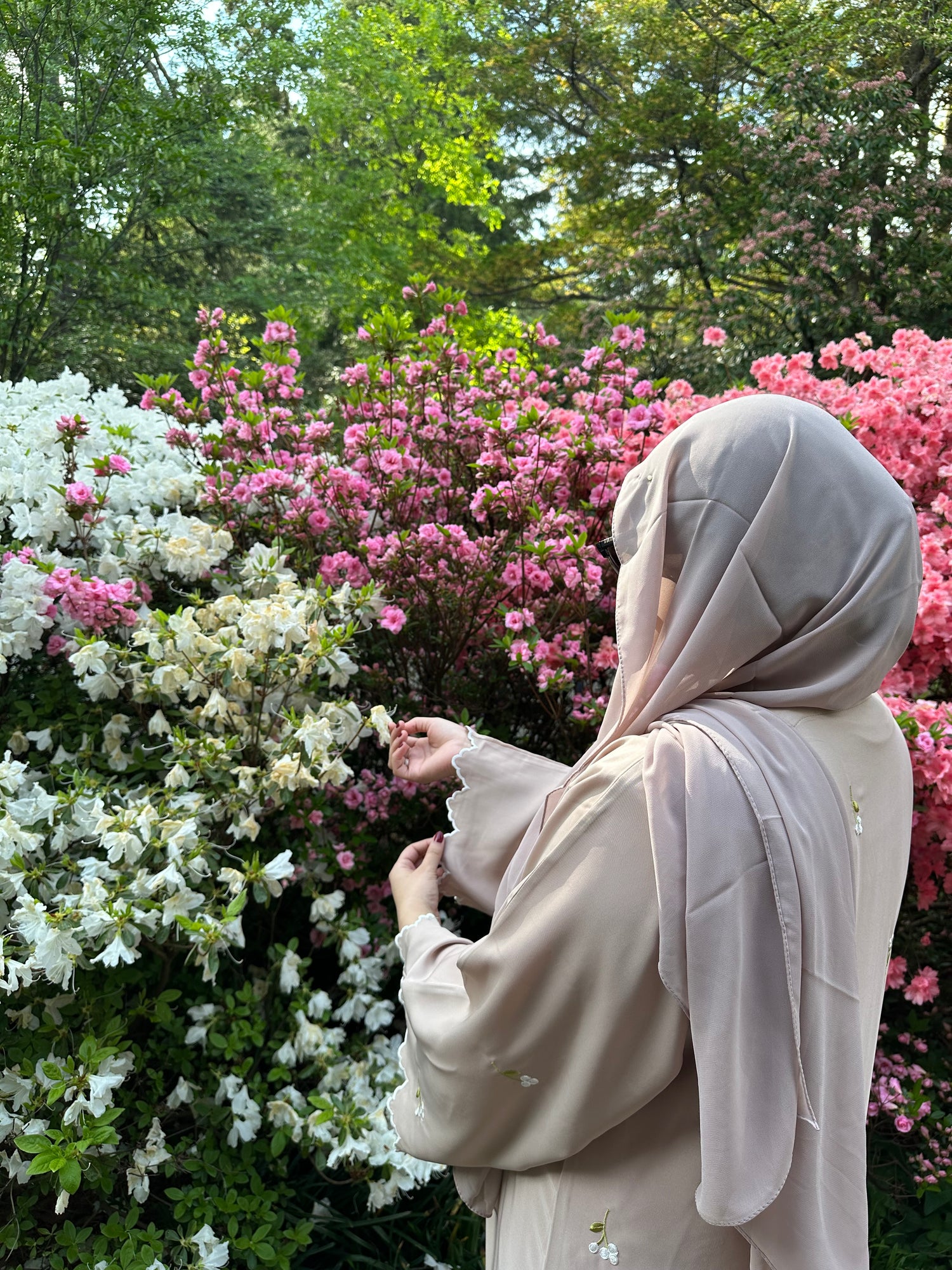 Spring Collection '25 🌸